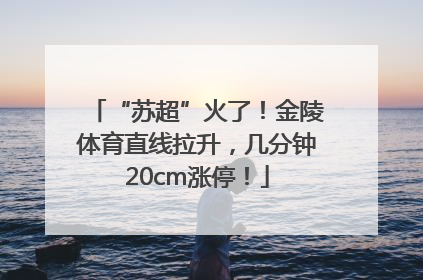 “苏超”火了！金陵体育直线拉升，几分钟20cm涨停！